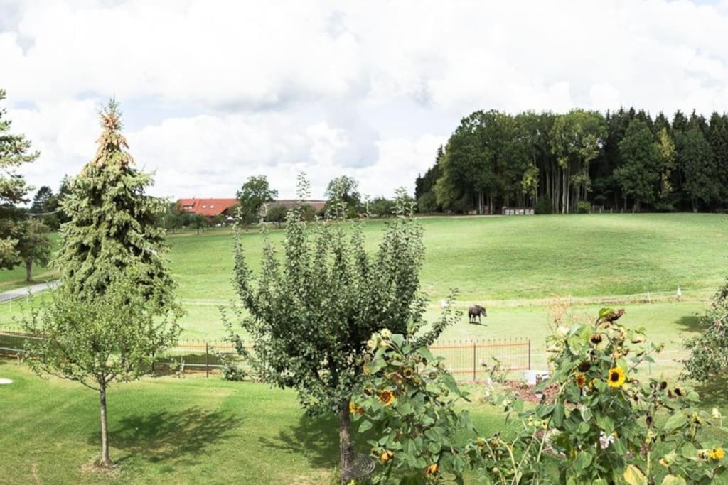 Naturidyl Schneckenbuch Weißensberg Exterior foto